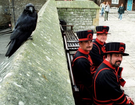 Beefeaters and a resident raven strike a pose.