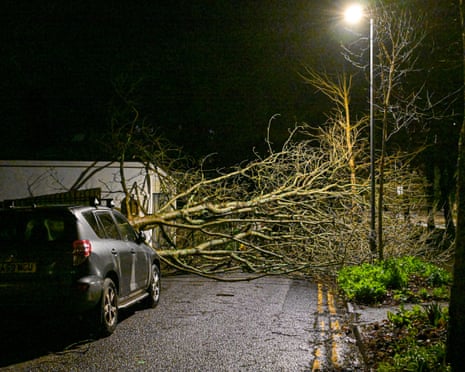 A fallen tree blocks a road in Falmouth, Cornwall