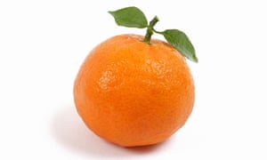 Tangerine with two leaves on stalk, close-up