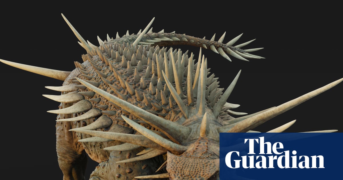 ‘Bristling with spikes’: oldest known ankylosaur fossil found in Morocco
