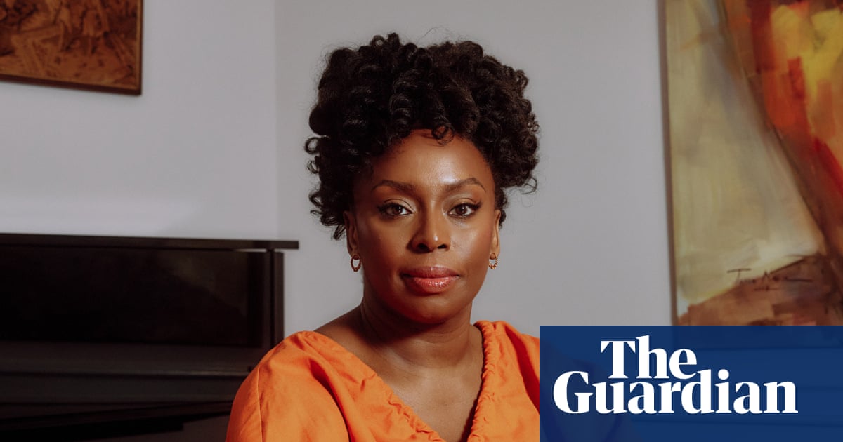 Death of Chimamanda Ngozi Adichie's son prompts calls for overhaul of Nigeria's healthcare sector