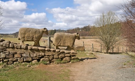 Stone sheep sculpture at Low Force, on the Teesdale Way.