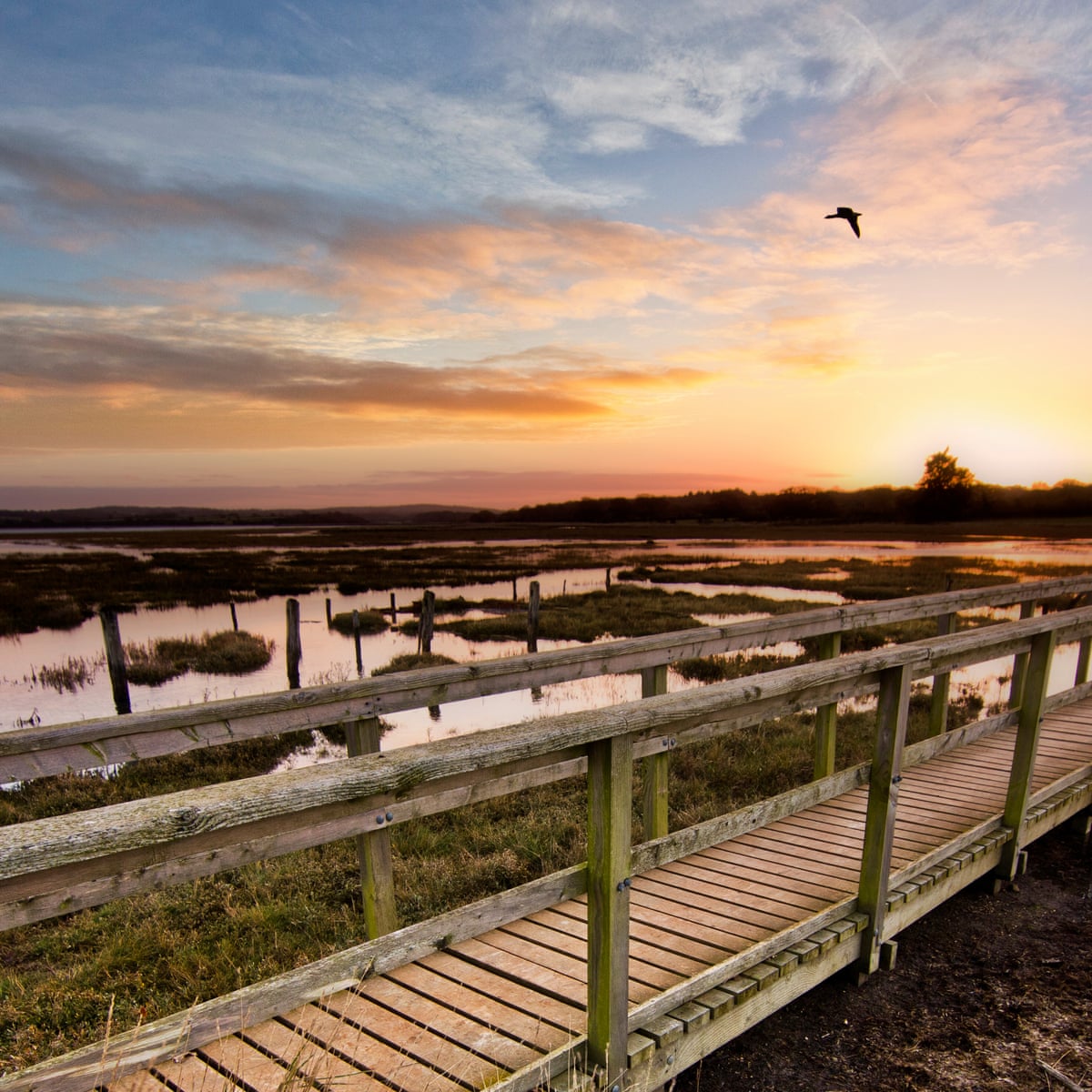 My Eagle Eyed Winter Wander Around The Isle Of Wight Isle Of Wight Holidays The Guardian My Eagle Eyed Winter Wander Around The Isle Of Wight Isle Of Wight Holidays The Guardian
