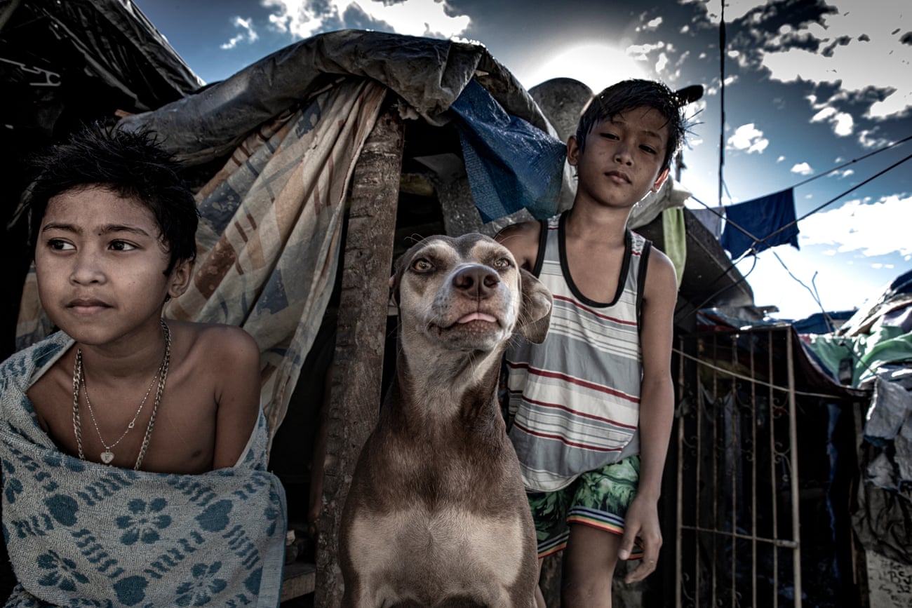 Dogs and humans live among the gravestones in Pasay cemetery, Philippines Dogs and humans live among the gravestones in Pasay cemetery, Philippines