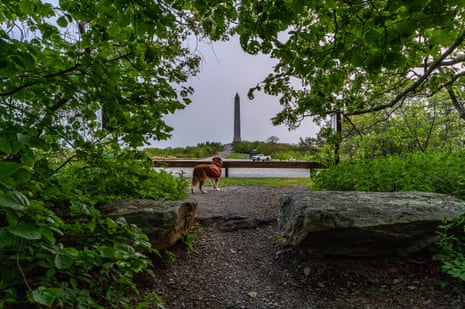 A dog and an obelisk seen through tree branches