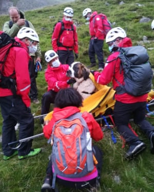 Mountain rescue team with dog on stretcher