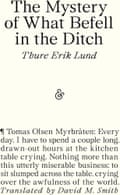 The Mystery of What Befell in the Ditch cover by Thure Erik Lund