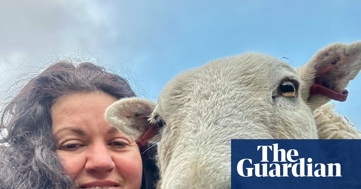 The pet I’ll never forget: Merlin the therapy sheep