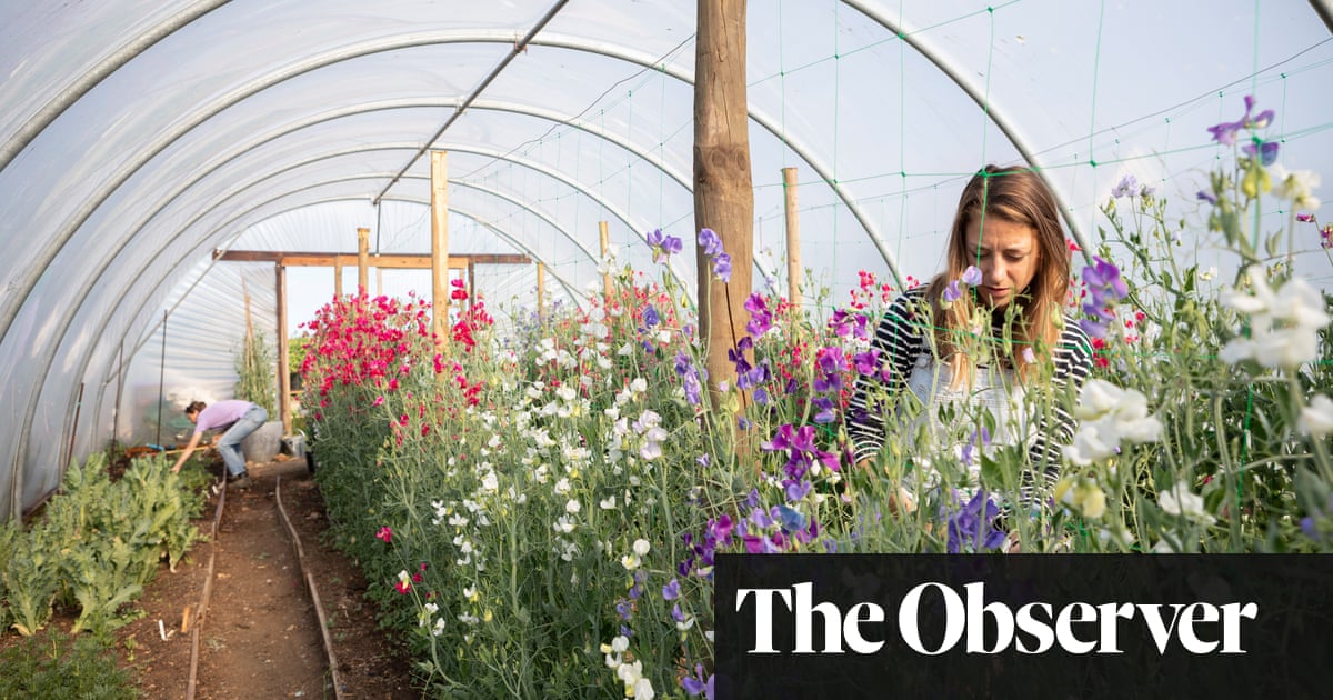 Flower power: why blooms are an essential part of any garden