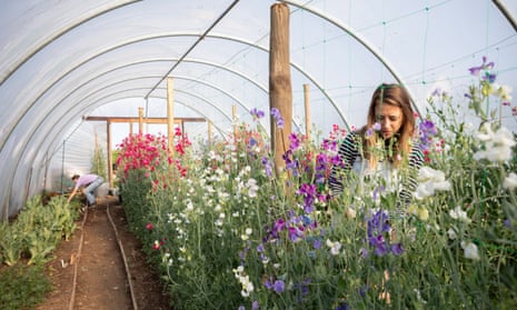 Jess Geissendorfer tends to sweet peas at the SSAW Collective.