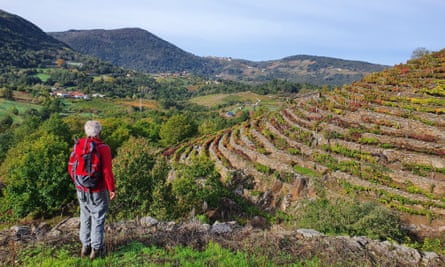 Southern Galicia is on the agenda of On Foot Holiday.