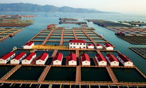 Aerial view of an aquaculture base on April 16, 2020 in Xiapu County, Fujian Province of China.