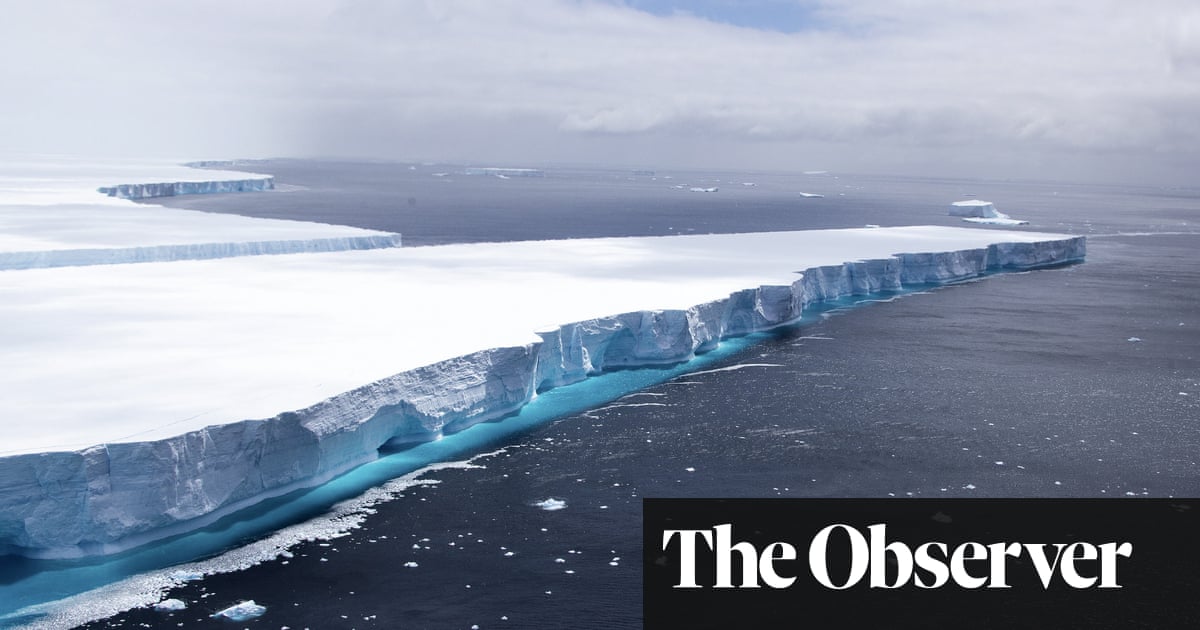 3135.jpg?width=1200&height=630&quality=8