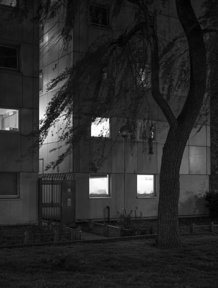 Image of trees silhouetted against lighted windows at night