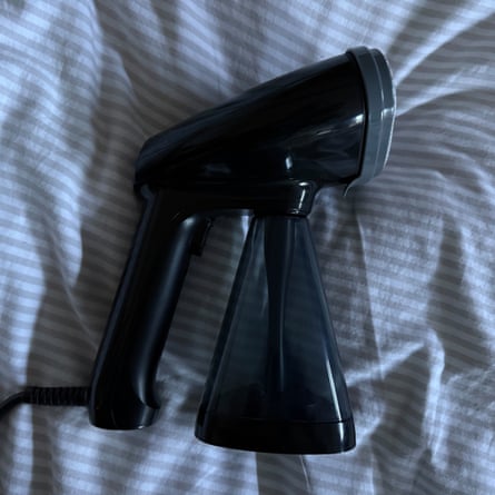 Fridja f10 handheld steamer