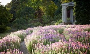 Flowers and follies: Hotel Endsleigh gardens
