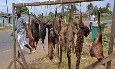 A man walks past bushmeat including pangolins, bush rats and tiger cats for sale on the roadside in Equatorial Guinea.