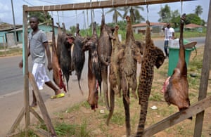 A bushmeat stall in Equatorial Guinea