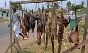 A man walks past a rack of bushmeat that includes the increasingly rare pangolin, now on the point of extinction.
