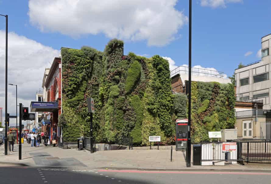 A ‘green wall’ planted on the side of London’s Edgware Road Bakerloo Line Underground station.