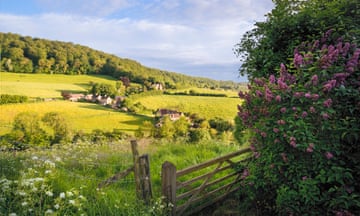 View of Slad Valley, Stroud, Gloucestershire in summer;<br>E1G19J View of Slad Valley, Stroud, Gloucestershire in summer;