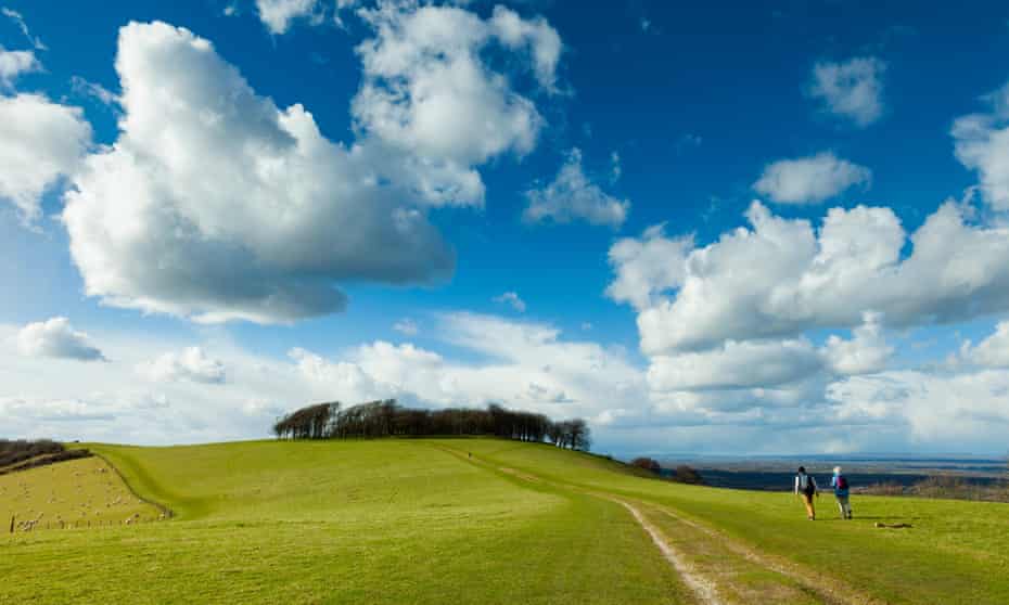 “La sección de South Downs Way cerca del fuerte prehistórico de Chanctonbury es particularmente hermosa”: Washington, West Sussex.