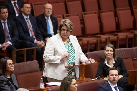 South Australian Liberal senator Kerrynne Liddle delivers her first speech in the senate chamber of Parliament House in Canberra this afternoon.