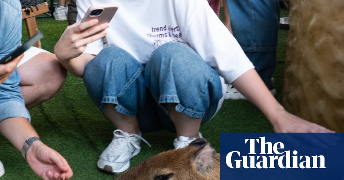 Cuddling capybaras and ogling otters: the problem with animal cafes in Asia