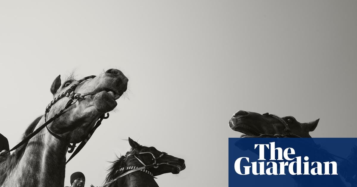 Buzkashi horsemen battling for a headless goat: Todd Antony's best photograph