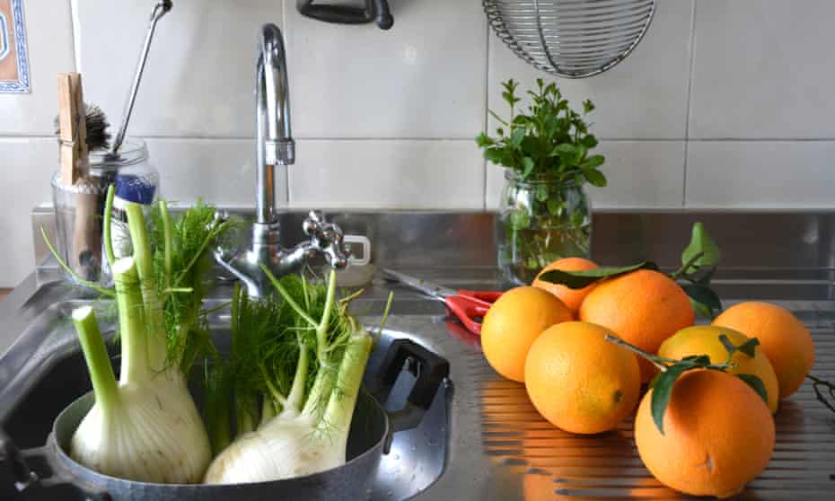 fennel and oranges on a kitchen sink