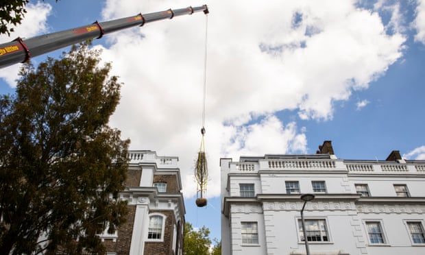 A large crane lifts trees over the houses on Onslow Square.