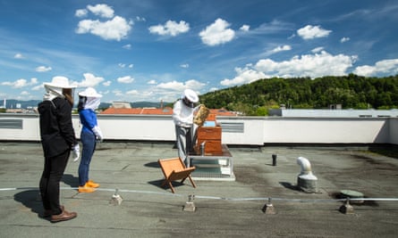 Urban beekeeper Gorazd Trusnovec shows the beehives to students on the roof of the Ljubljana Secondary School of Trade during a beekeeping class in Ljubljana, Slovenia, on May 16, 2017. Among other activities, beekeeping school clubs are a project started by the Slovenian Beekeepers Association and supported by the government. They are highly successful.