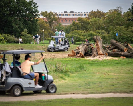 two golf carts drive by piles of cut tree remnants