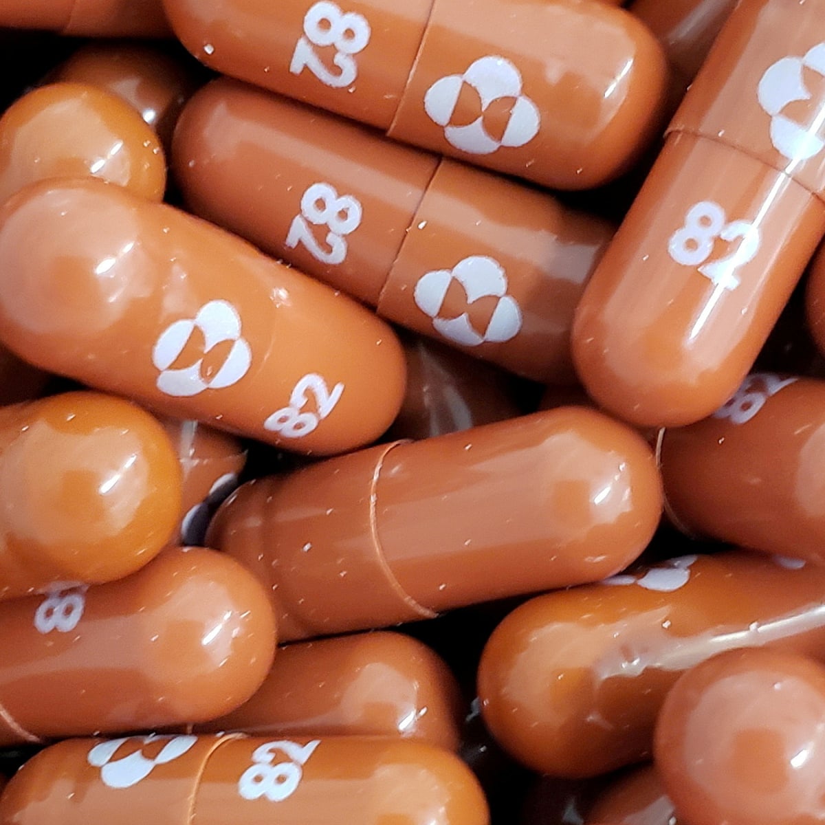 Merck Wants Americans To Pay 712 For A Covid Drug That Taxpayers Helped Develop David Sirota The Guardian Merck Wants Americans To Pay 712 For A Covid Drug That Taxpayers Helped Develop David Sirota The Guardian