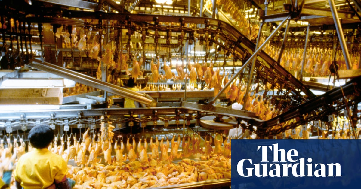 A   century ago, Americans would not recognise our modern hunger for chicken. The year-long market for tender but relatively bland chicken meat is a n