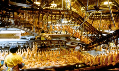 A chicken processing plant in Lewiston, North Carolina