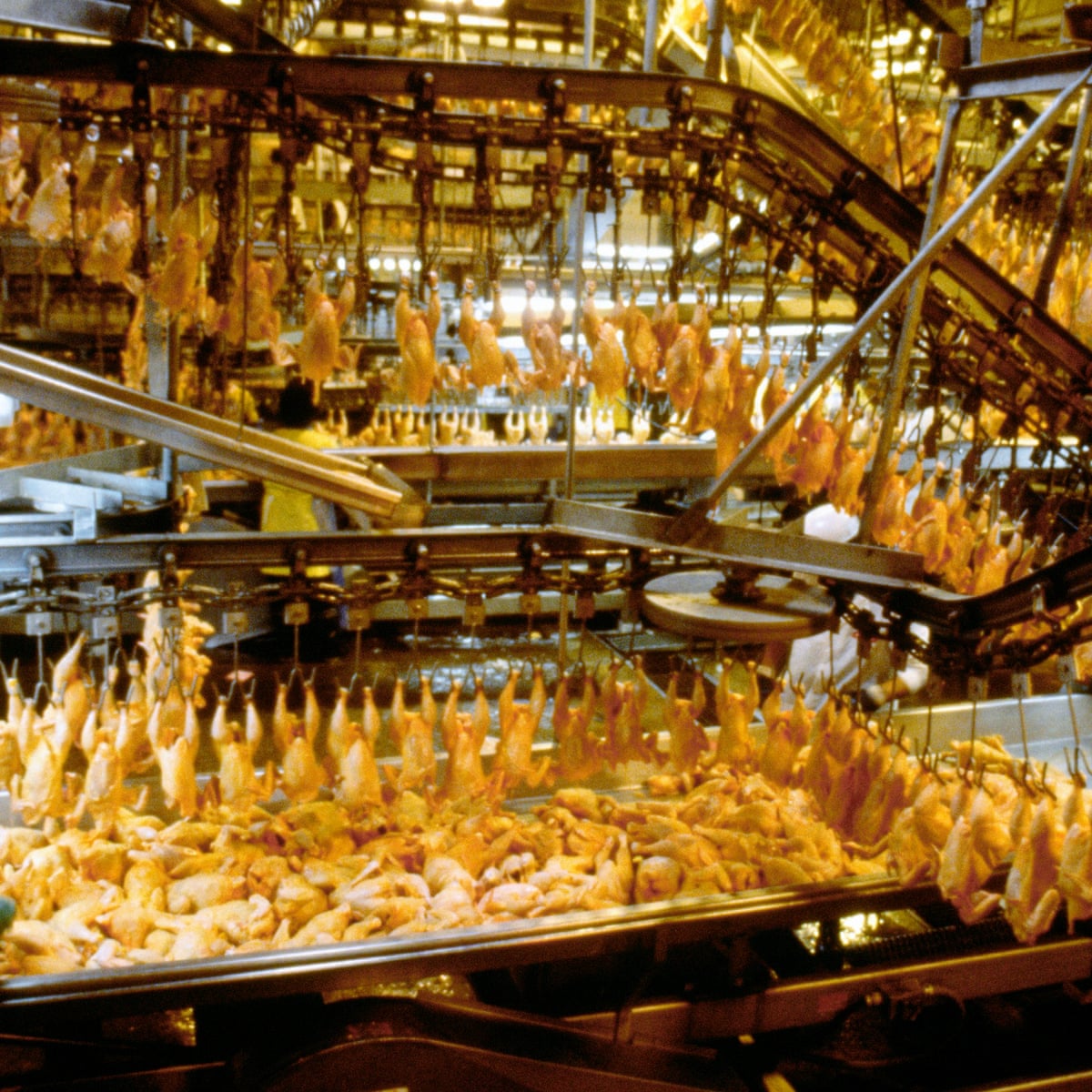 UK ministers gain power to allow lower-standard food imports | Meat industry | The Guardian