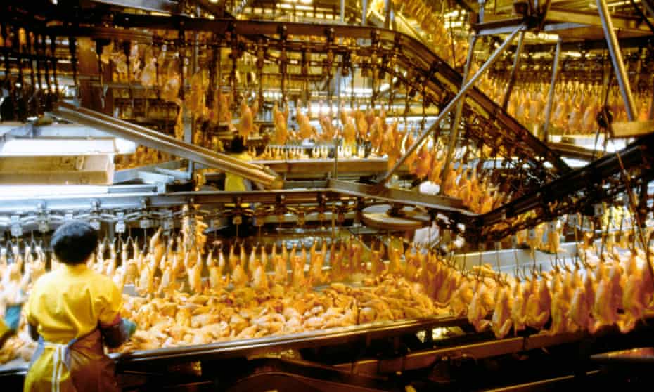 A chicken processing plant in the US.