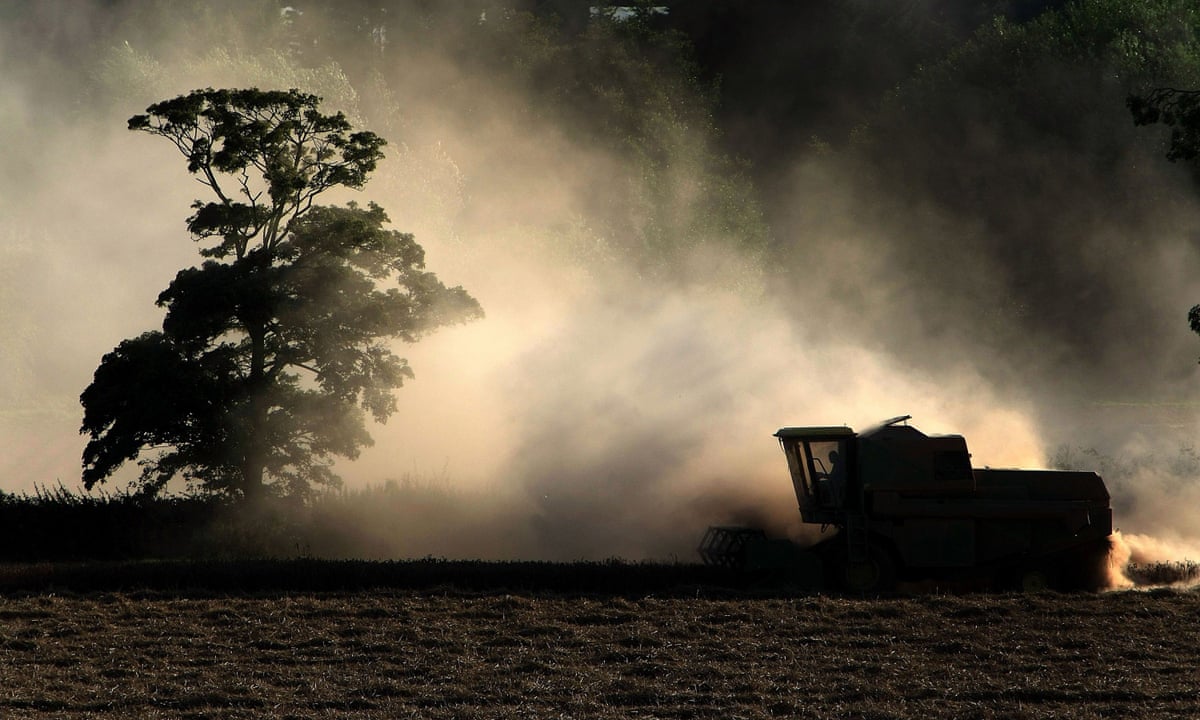 Farm dust that protects children from allergies could lead to