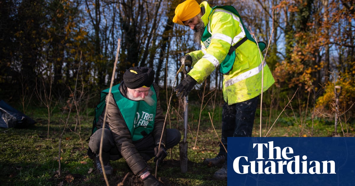 Guardian and Observer appeal 2019: our chosen charities