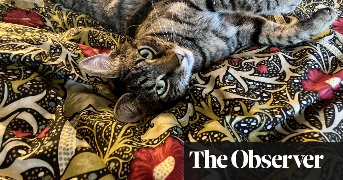 William Morris designs out in the wild in pictures