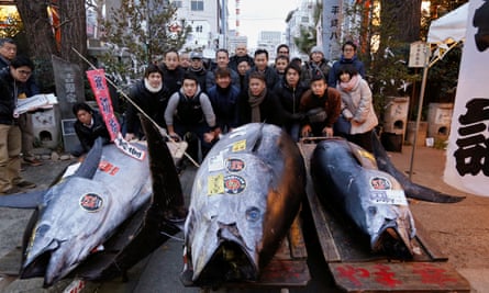 People pose for photos with a 405kg bluefin tuna, centre, outside Tsukiji fish market