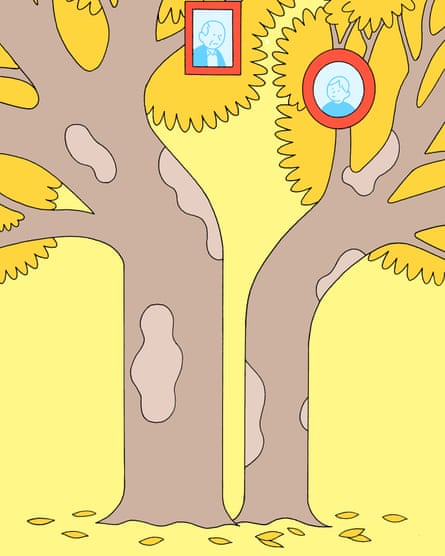 Illustration of two trees side by side with family pictures on their branches and the trunks bending away from each other