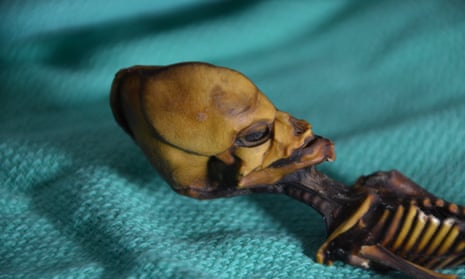 Plastic model of human skull with eyes For sale as Framed Prints