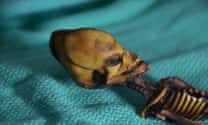 Tests reveal tragic reality of Atacama 'alien' skeleton