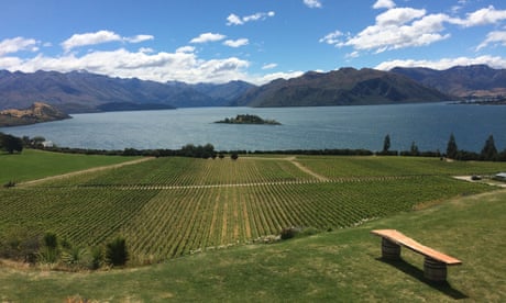 View of Lake Wanaka from the Rippon vineyard.