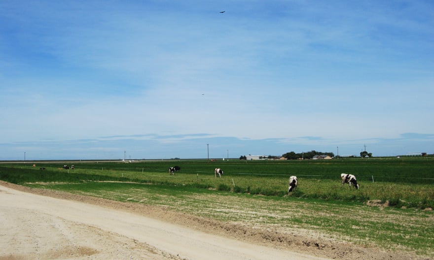 Organic Pastures raw dairy farm in Fresno, California.