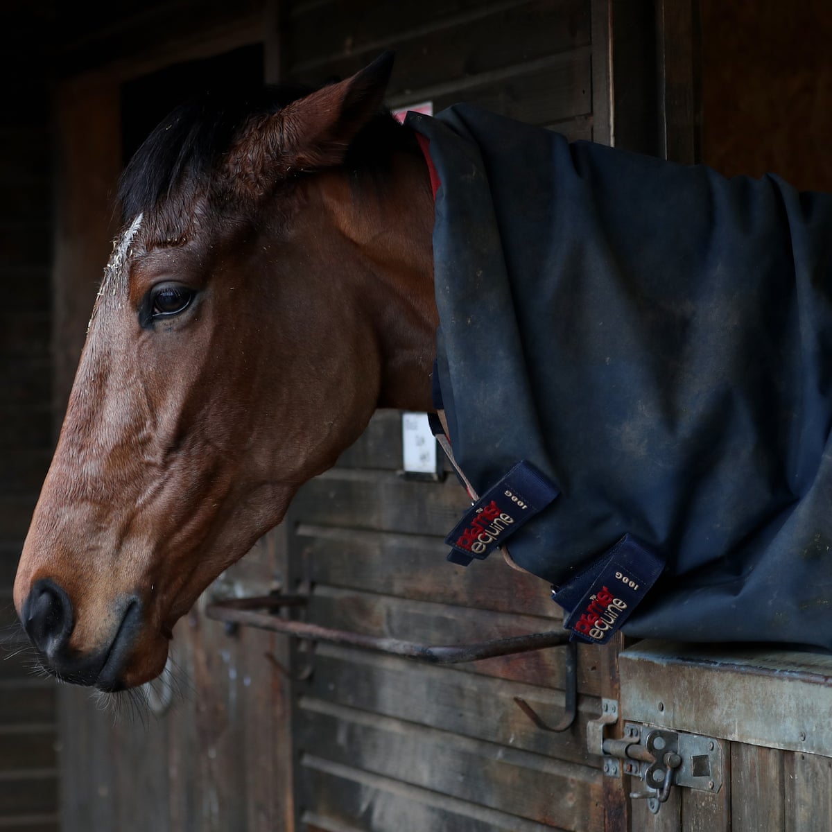 When is the next major horse race entries When is the next major horse race entries