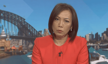A screengrab showing independent MP for Fowler Dai Le speaking to ABC's Insiders program on Sunday 28 April 2024
