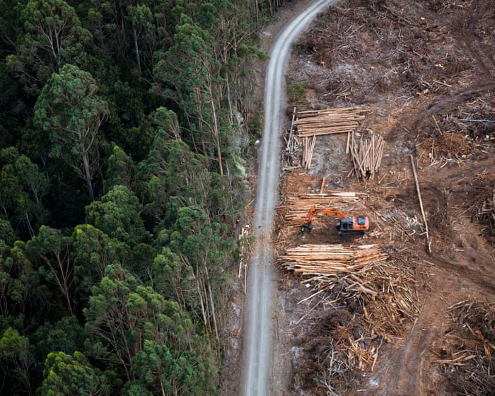 ‘Highly unusual’ exemption in Labor’s environment laws open to interference, integrity experts say